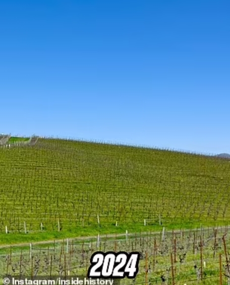 Це фото бачив кожен - і тепер люди в шоці: як зараз виглядає легендарний пагорб із Windows XP